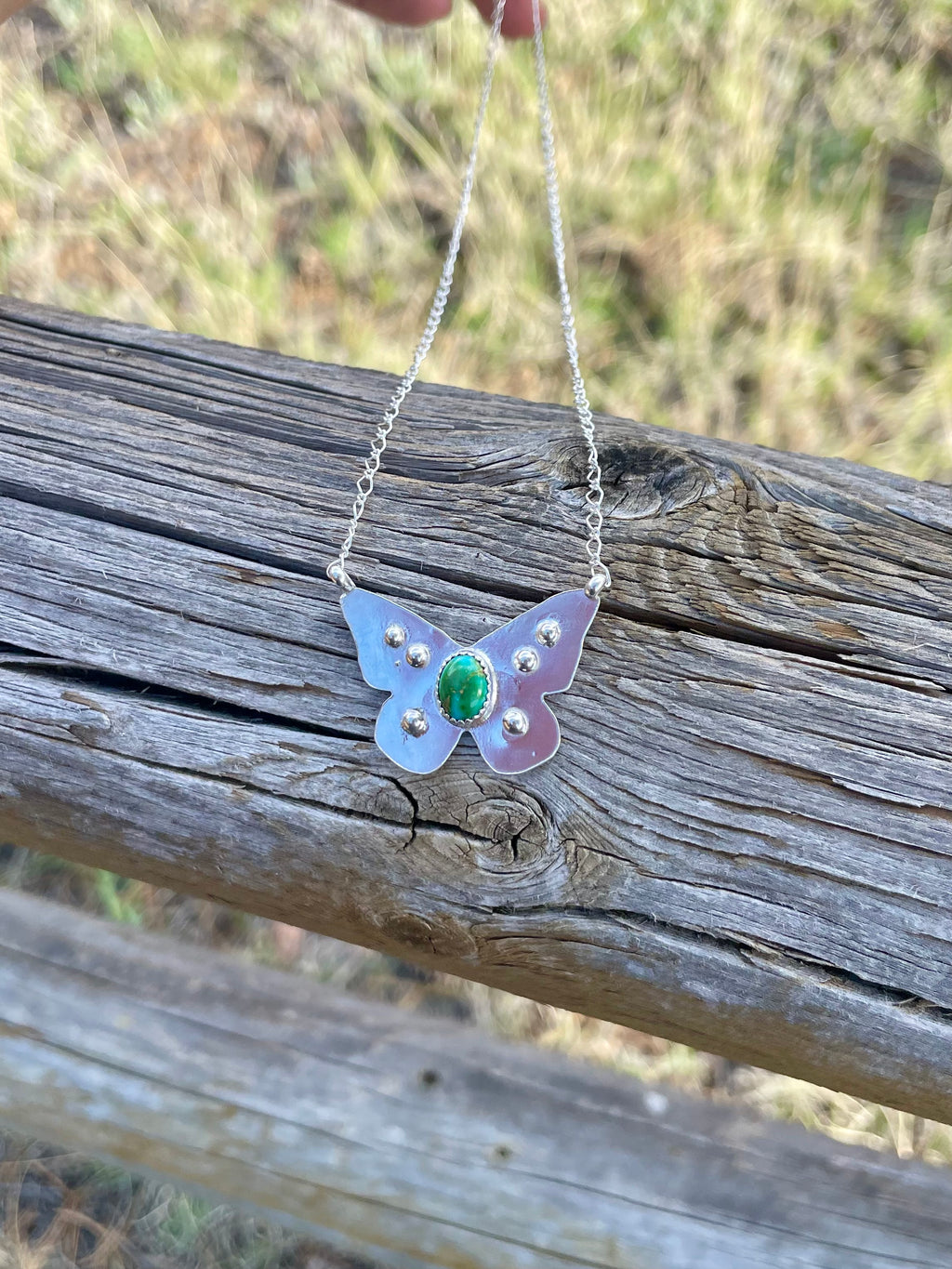 Sonoran Mountain Butterfly