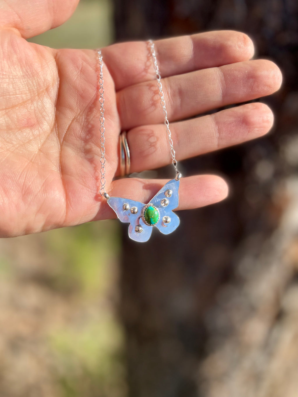 Sonoran Mountain Butterfly