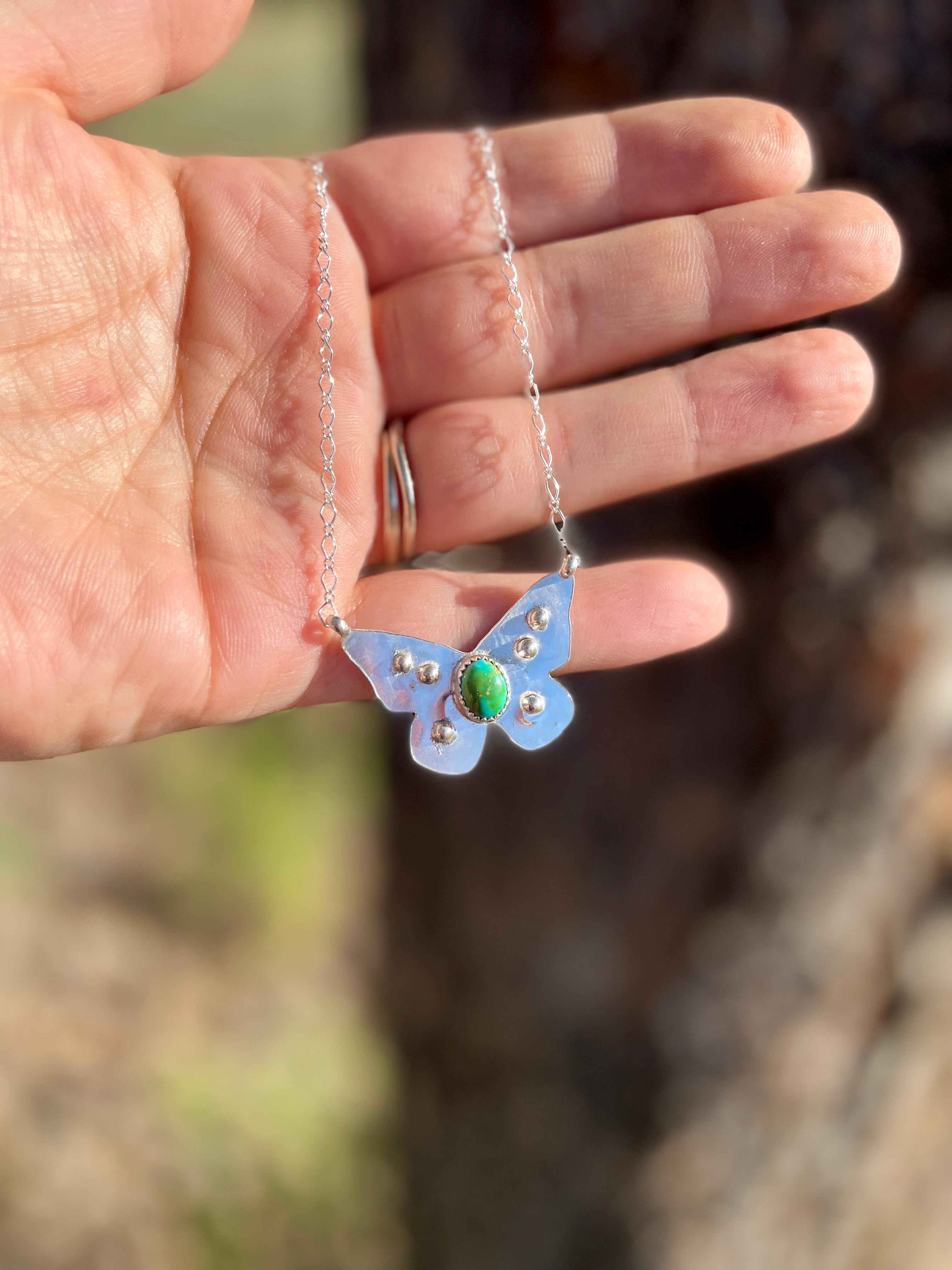 Sonoran Mountain Butterfly