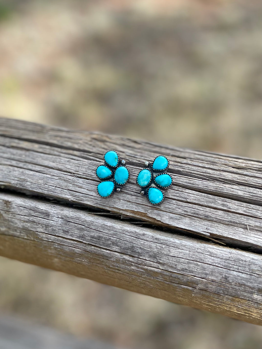 The Kootenai Earrings
