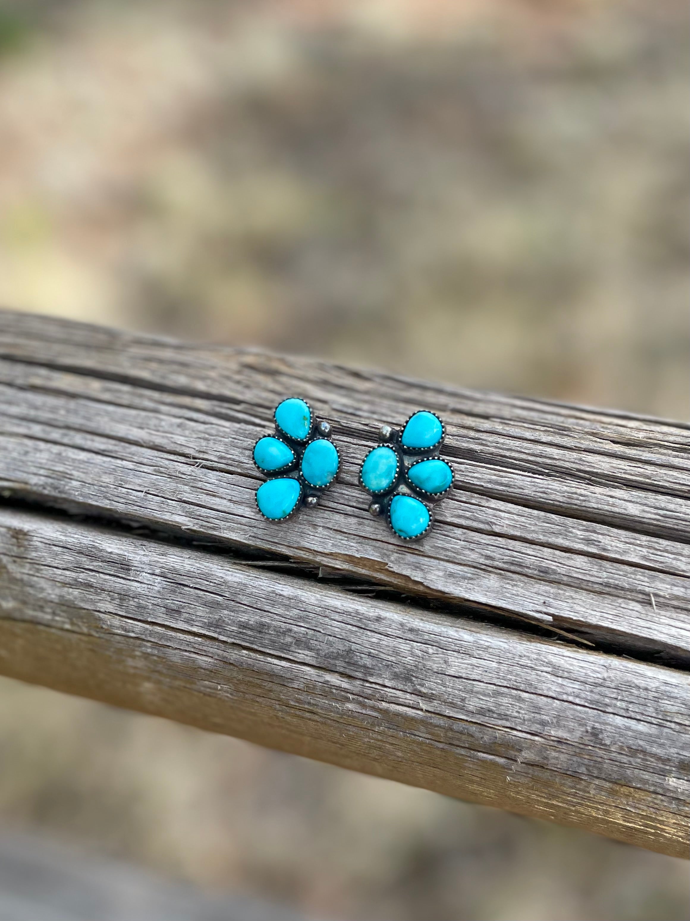 The Kootenai Earrings