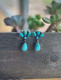 The Santa Fe Dangles